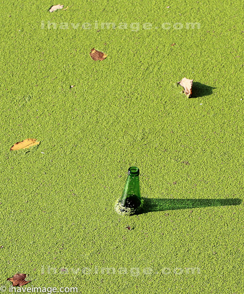 Bottle in the algae