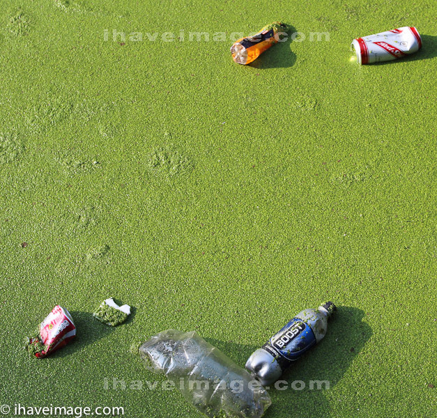 Cans and bottles in the algae