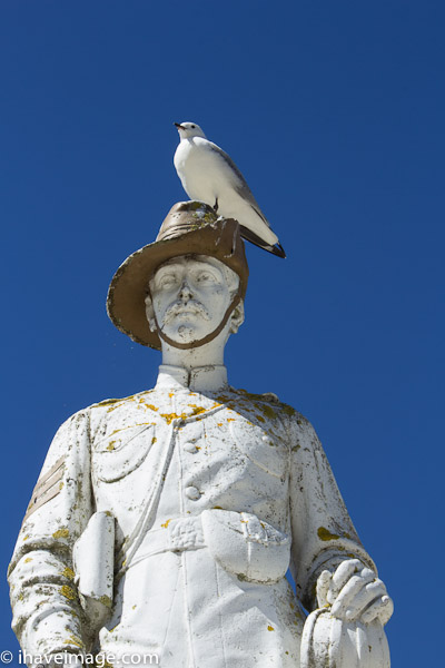 Statue and pigeon