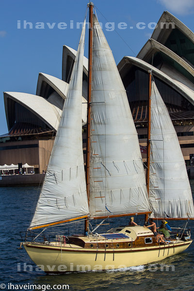 Sailing Ship Sydney Harbour
