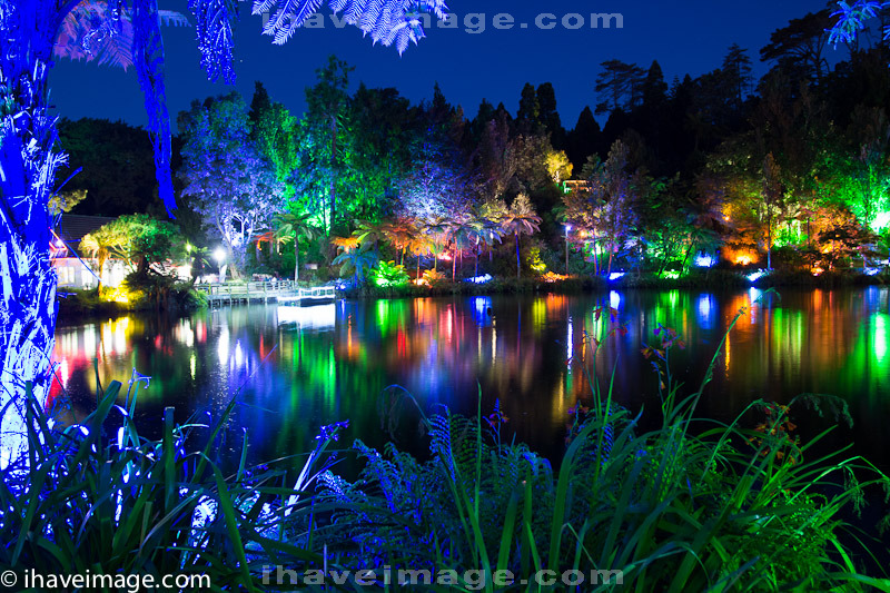 Light Show at Lake in Pukekura Park